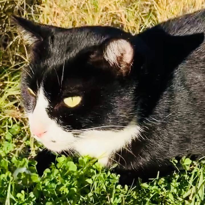 E87cc70c 3c88 4824 80a4 3654c8e61b61 1732000769018