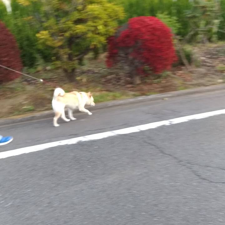 E87cc7d9 a754 4915 ae54 a9a04cc05124 1605479661266