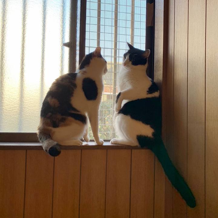 E87cd0fb d817 47a6 a324 33fb70905769 1549505871190