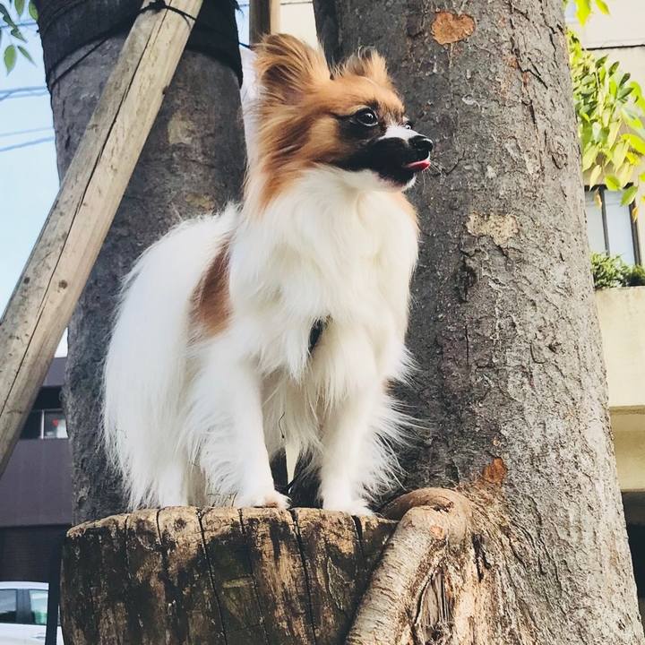 E87d1f83 b823 4996 ab2d 141ae7c9e85d 1533051049080