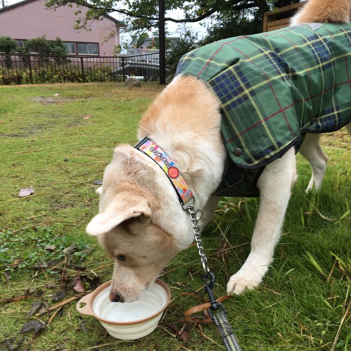 E87d2479 79cc 4d54 9dce 10e06477c755 1508384746405