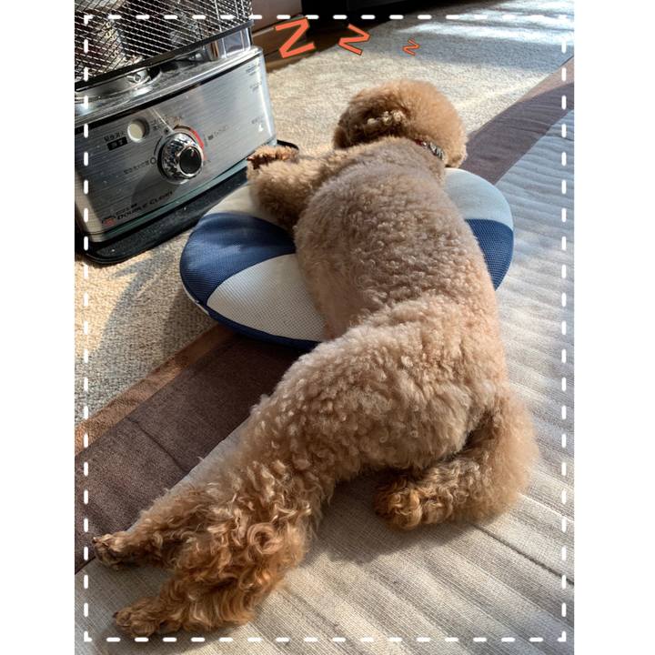 E87d2616 1bd3 42d2 b229 c3abc9a5a509 1548050573401