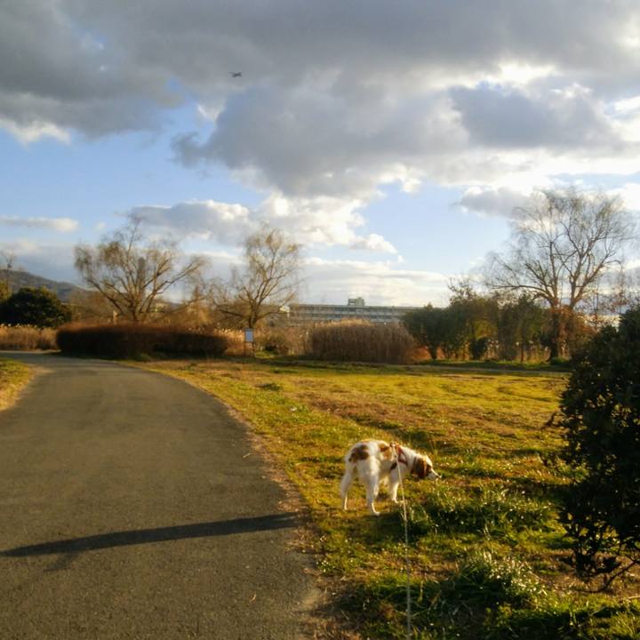 E87d2801 9458 4c94 8677 c4ee89c4717d 1547035260582