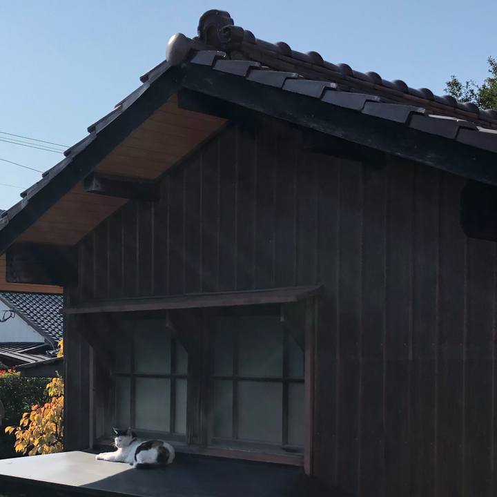 E87d574e 80e1 42a3 b191 c99eb4b4ca91 1636187974763