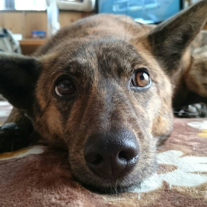 E87d601d 87ce 4fd6 85ef d28a75a89c11 1507638340780