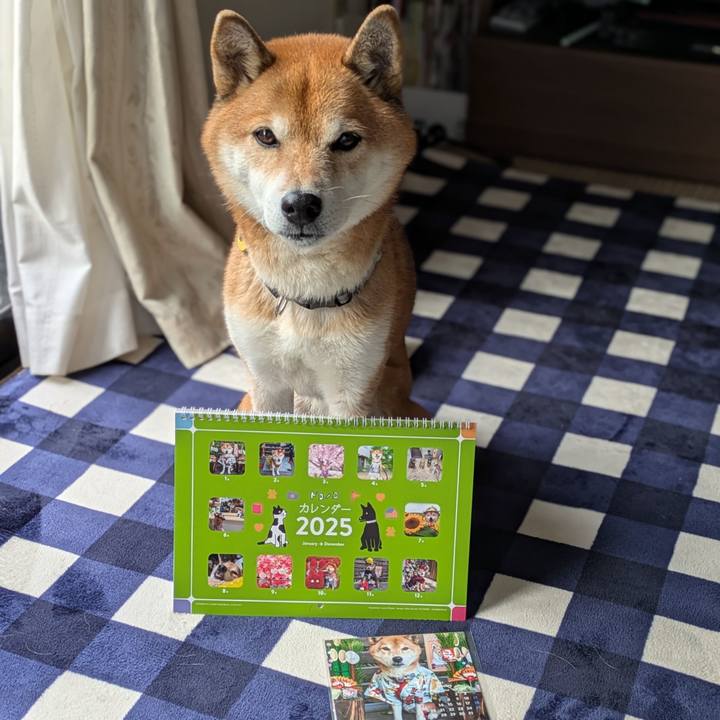 E87da3b1 d7d3 4fd4 ab6d 4d683f51438e 1732843786915