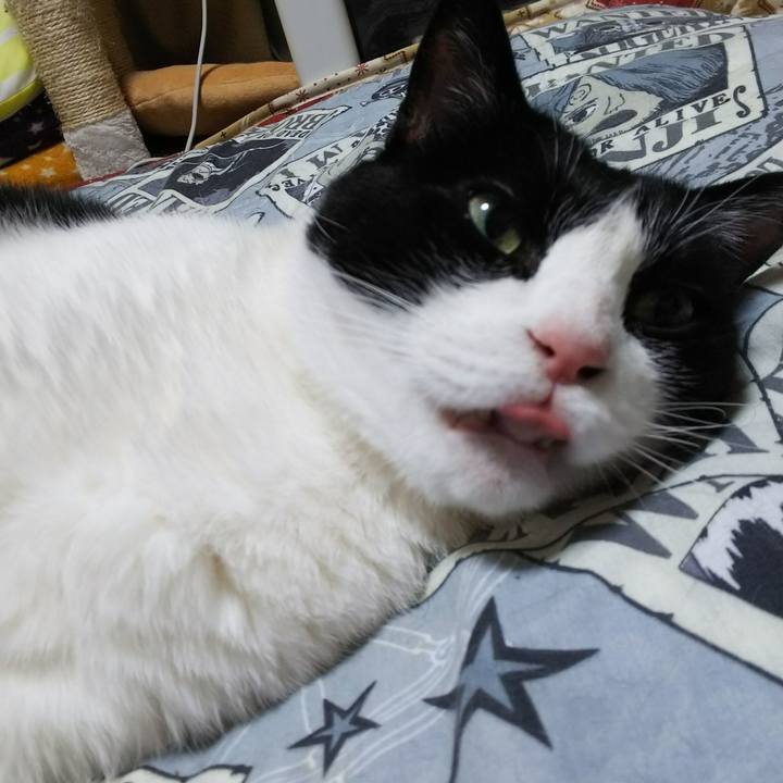 E87db703 c3fe 45e2 8cd0 b2cd14cdad55 1526392513088