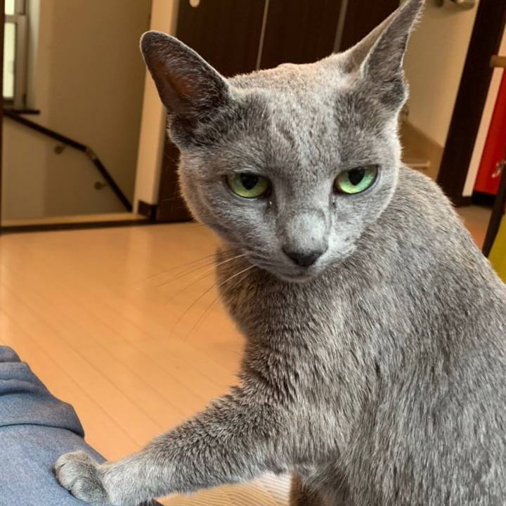 E87dc6ce 84e9 4b5f 99f2 9335b6c9c4ef 1576710535502