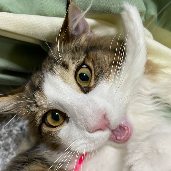 E87df93f 671a 45bc 8ada f4b1855eadb6 1638540348707