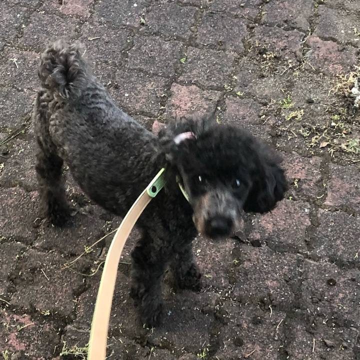 E87e13b5 3faf 43bd 924e 5c53deae81b0 1591270463280