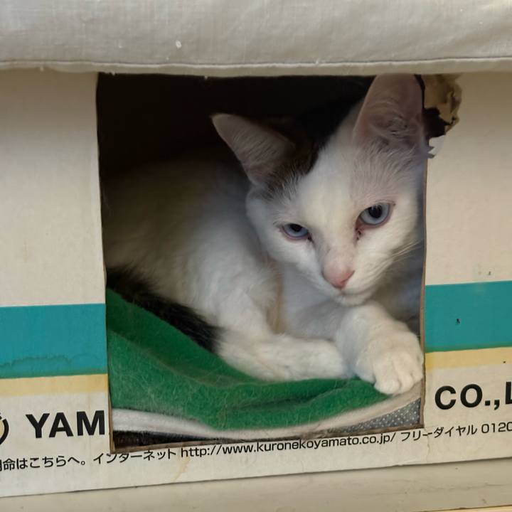 E87e4691 3197 4df3 8e37 50182e8eefd9 1774311990886