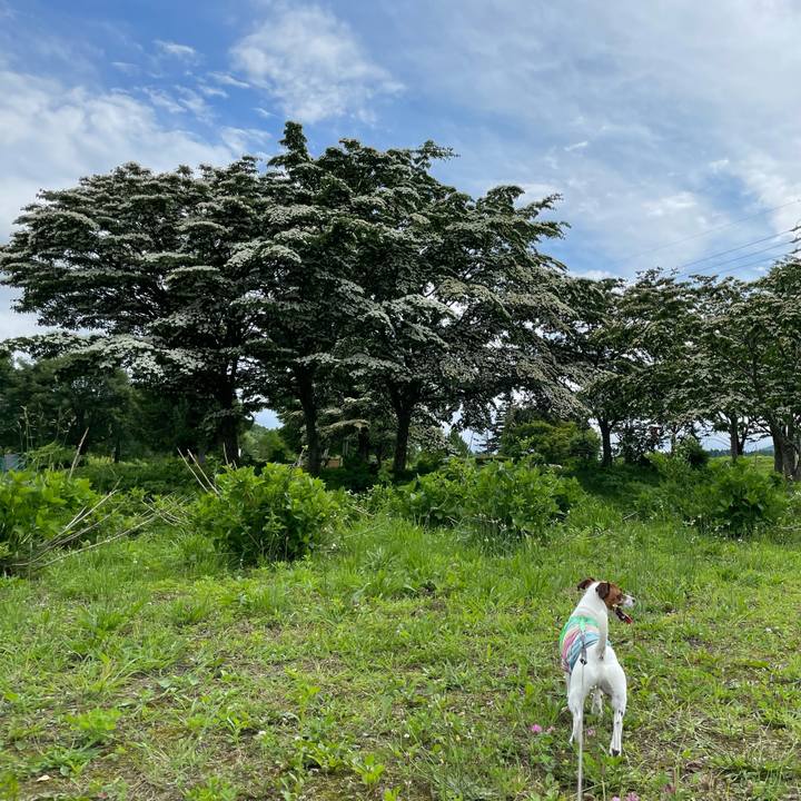 E87e6af8 213d 4398 a81a fca5ad34cbc2 1625124556542