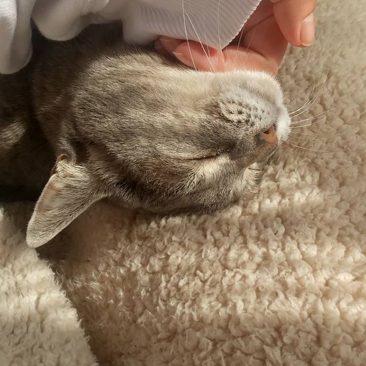 E87ea4fc 87cc 4cea 979e 13c22fceddb2 1677119691931