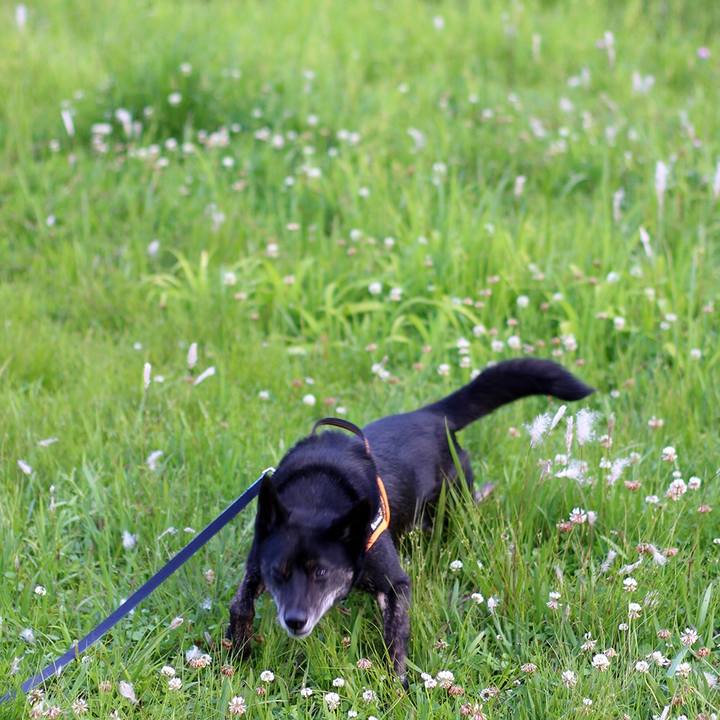 E87ee273 9a16 4d6e 8691 71a8704ab485 1642116506776