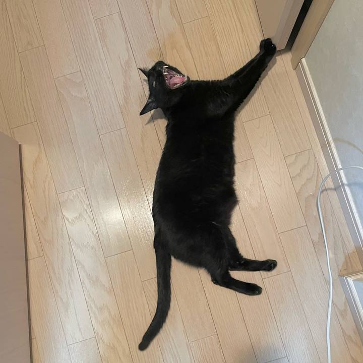 E87ee3c1 75d5 45a2 8c66 219d7ea9d43c 1716198157585