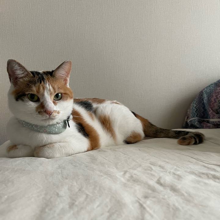 E87ee401 e2bd 430d bcf4 946e22dcfe72 1662609621422