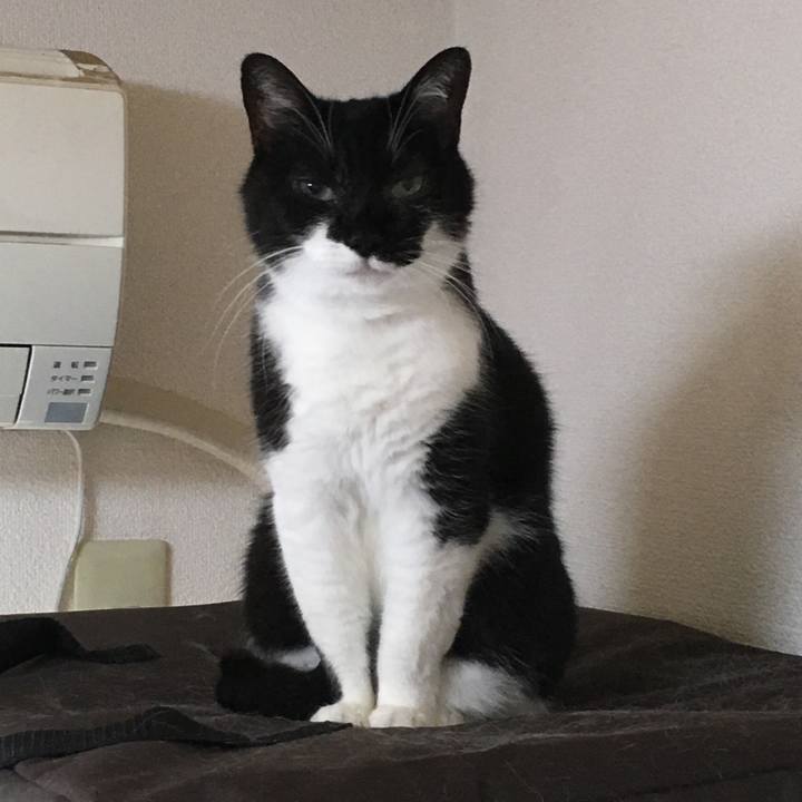 E87f14d1 d9cc 4733 8763 c52679f3c012 1528638088936