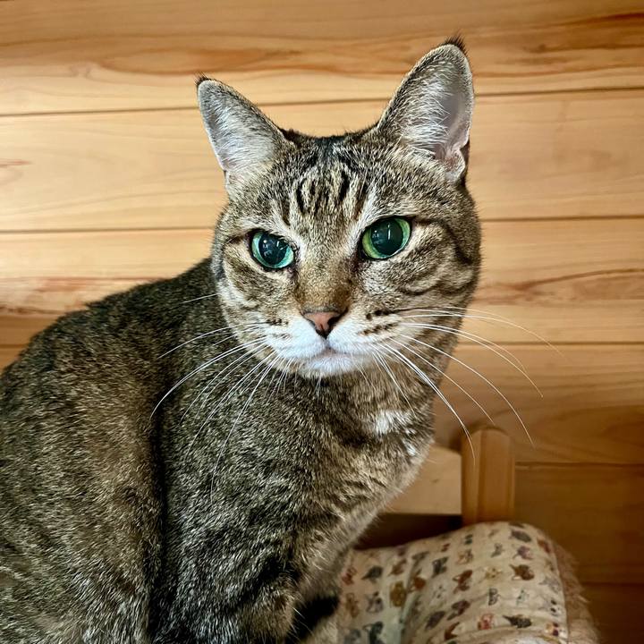 E87f151f 00cd 40e7 8231 c9ba03f89bed 1693618828315