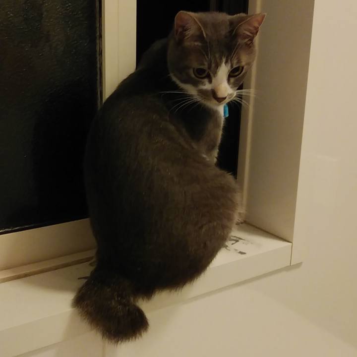 E87f174c 045c 4049 81b5 8ab8807279c8 1593095531916