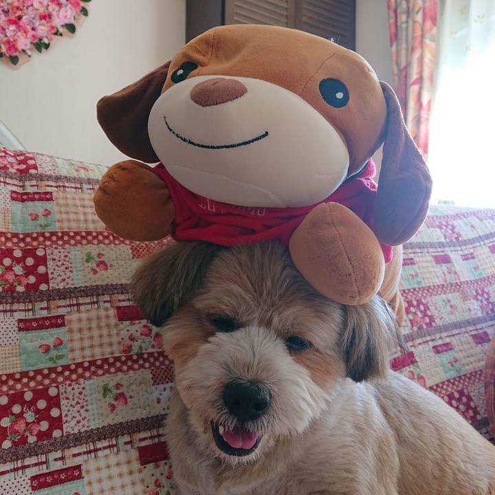 E87f2406 1289 405b 8d67 9684f9c35749 1597018903769