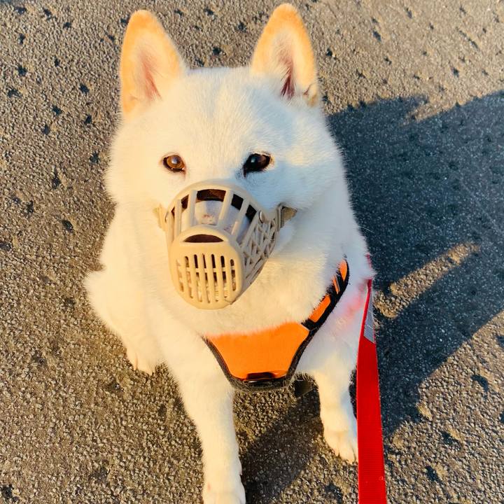 E87f328b c207 4d8d 9405 4300824e2e73 1618866915873