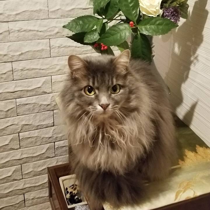 E87f393d 0a2b 41c1 a4b2 1dd192e9c55d 1547626292538