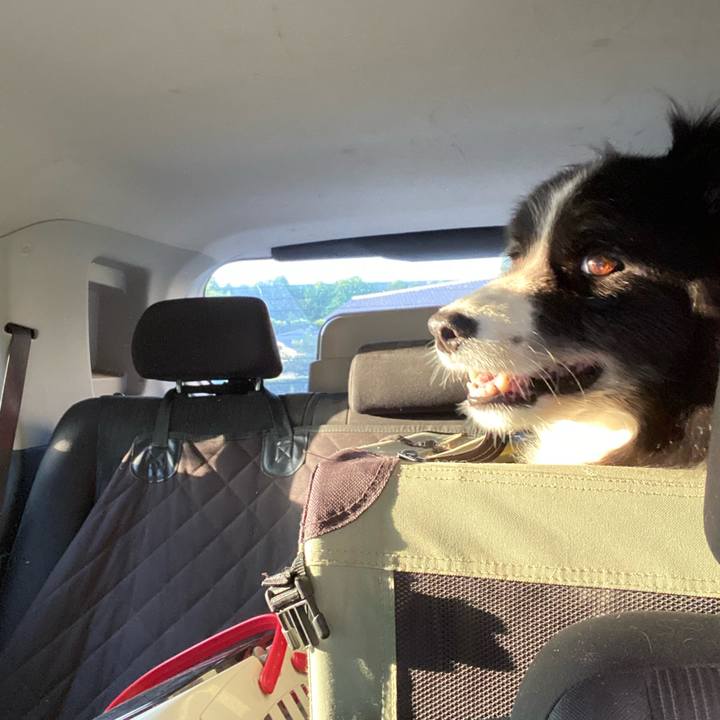 E87f64ed 0ccd 41c7 ae79 4d75a8a95d99 1694210574691