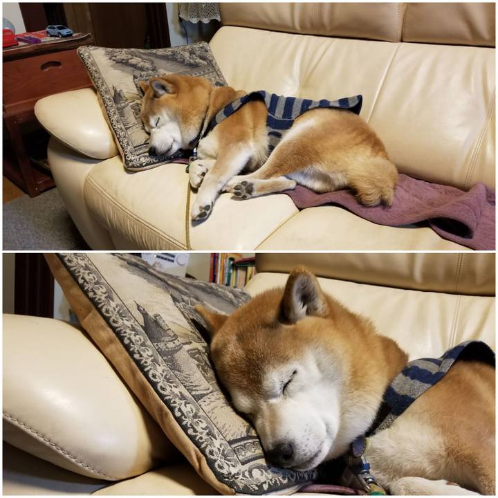 E87fb5ce 570e 4354 8553 782b0e36eb06 1671631881237