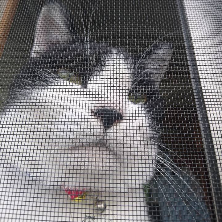 E87fc7e0 aa55 4b2e 9209 2d127728dd0d 1563148093440