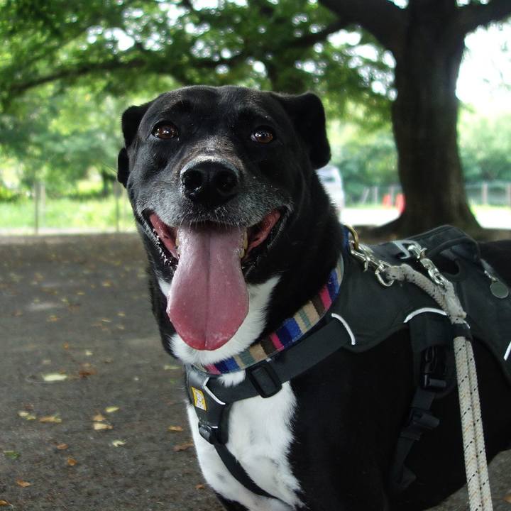 E87ff785 749f 4984 8178 8f9f0faab6ed 1655684233106