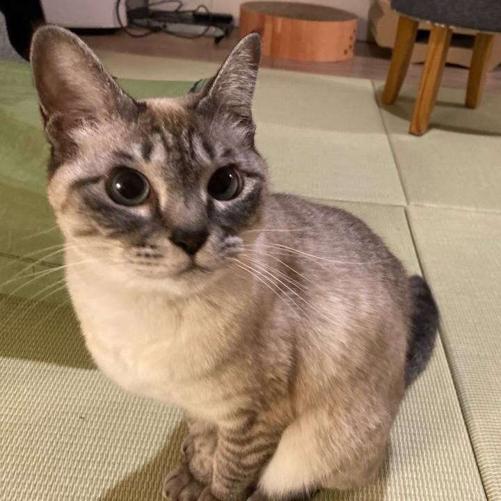 E8802e79 9d84 4fb0 bc56 049418c111ff 1677589396700