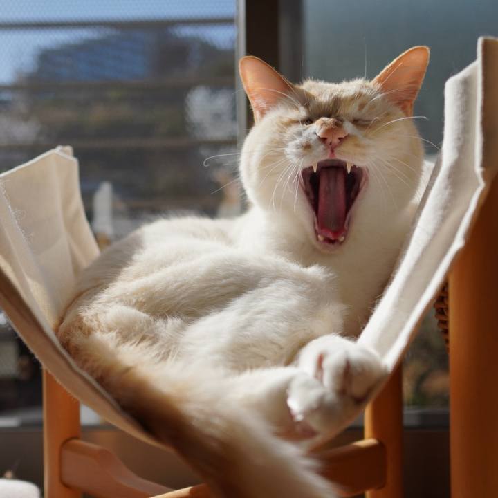 E8804a88 4b9f 4dbf b3a6 1cc0f660e969 1775630960026