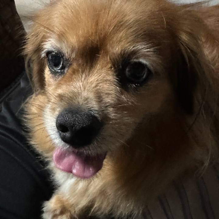 E88056a0 aab2 49f5 adc5 adfb943912e7 1756496642761