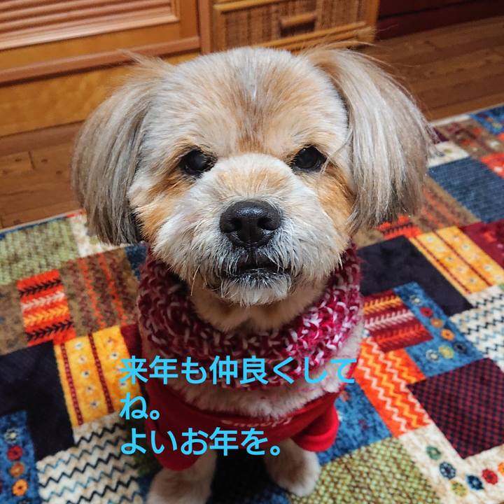 E880bc27 202c 4e0c 8cee c27a2c646fa0 1609400285568