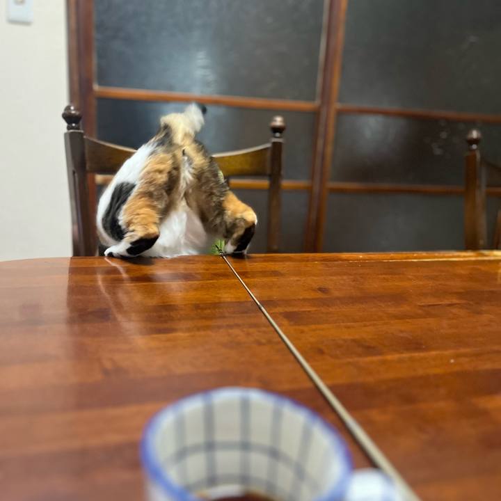 E880d38d a927 4d23 88c1 fd7d9b61e4c6 1764986862060