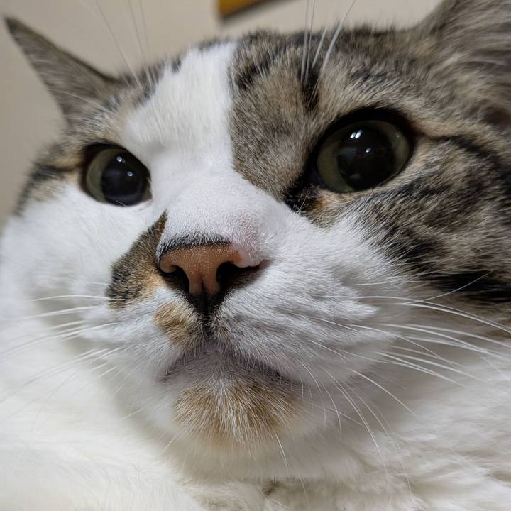 E88112c1 a343 45d5 8037 45616a36aa9f 1762081230081