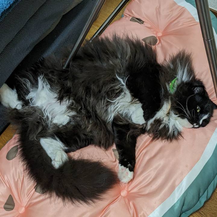 E8814dd4 e32c 4359 b39a e7e2f5d3ba21 1693716716442