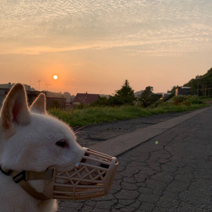 E8819675 22ce 4908 9cc1 50ac2063dffc 1566164177751