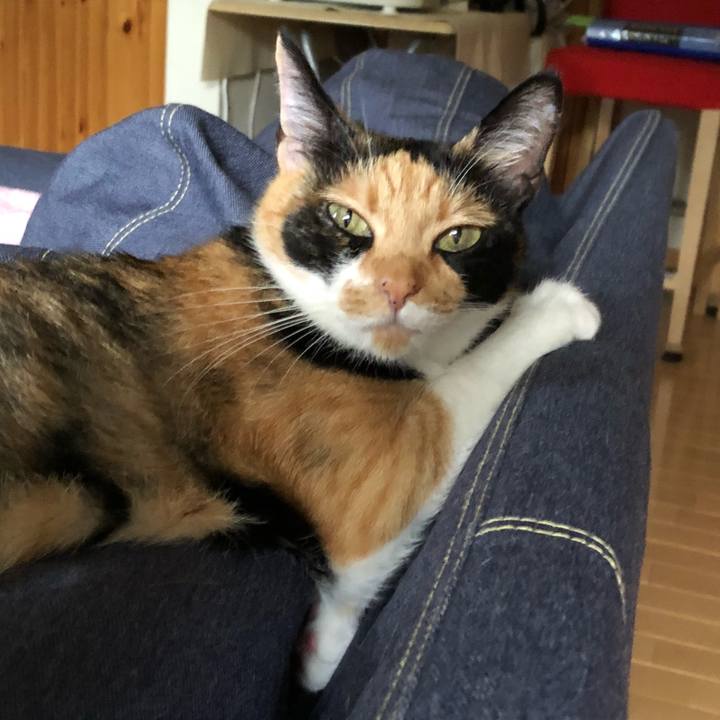 E881e800 4c7d 4344 98c7 7ec4fdd00df6 1530750770417