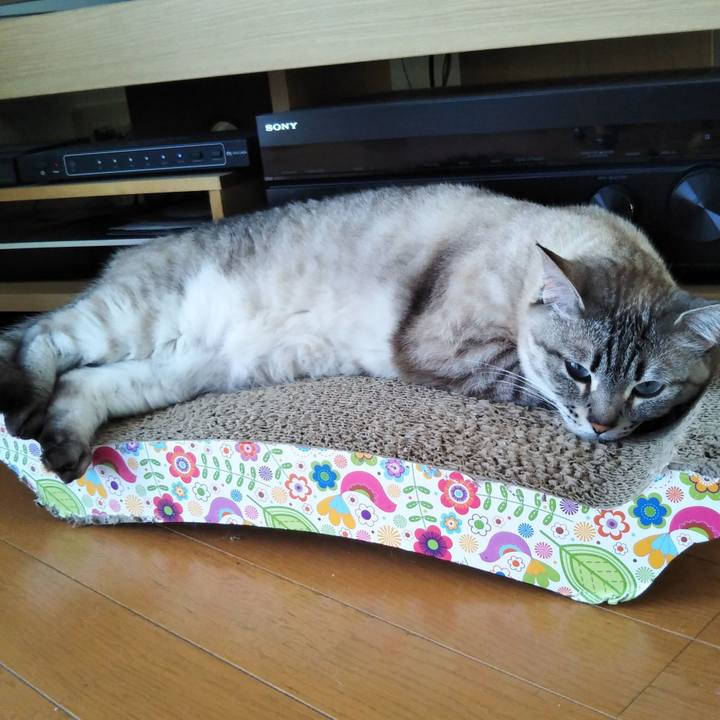 E882375c 99f9 457e b7e9 2c81c7a70c3b 1557455281680