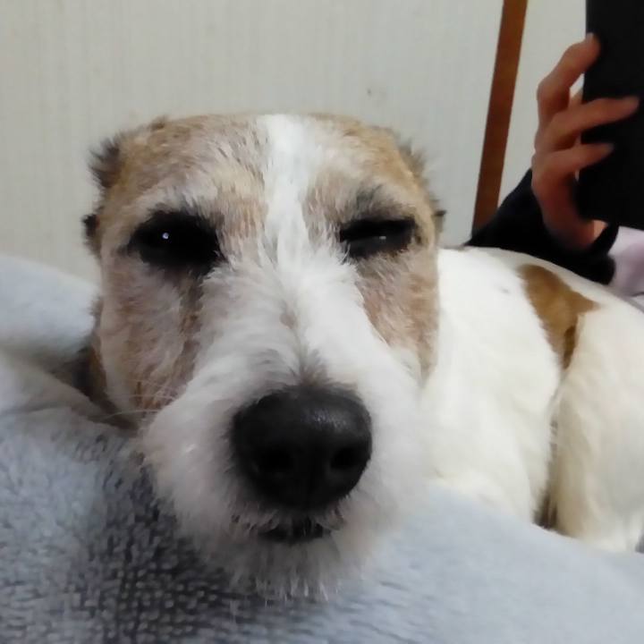 E8824227 d629 4ee6 be37 7395da773bd5 1516276499285