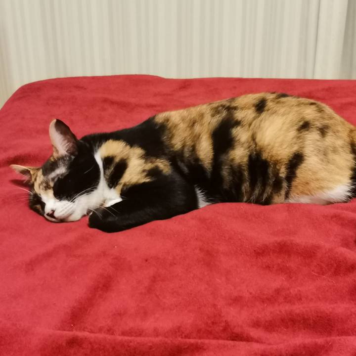 E88243f0 d6fb 423e ace7 fbd323378ca9 1664680102893