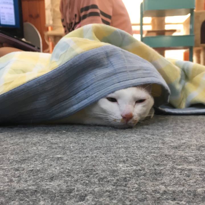 E8824769 f387 41db 8572 52d0e96b9002 1536036803433