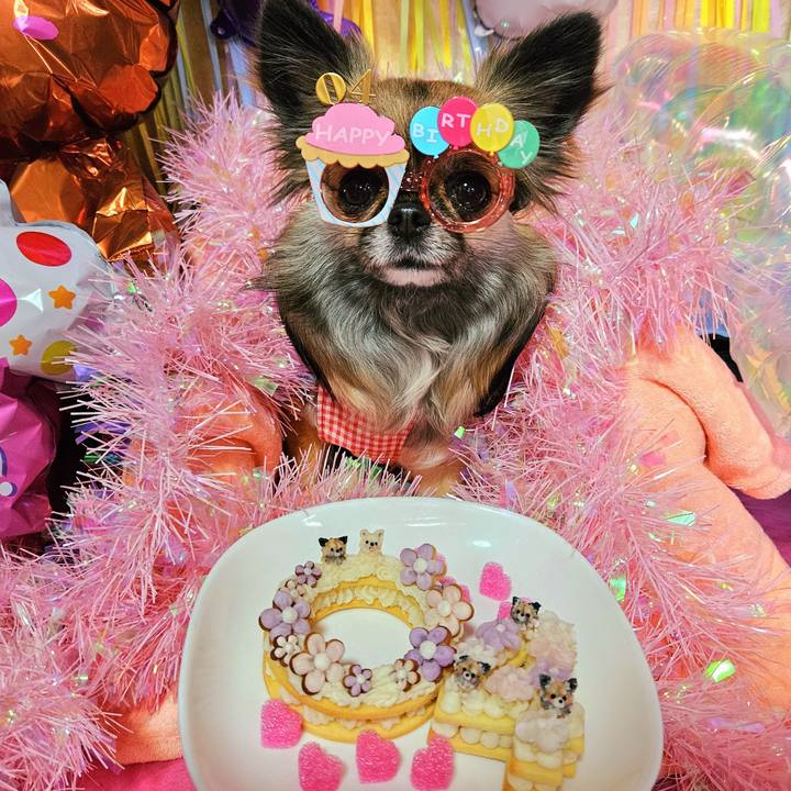 E88269f4 4d65 4ffc a118 a65c1b7d8d87 1765361861769