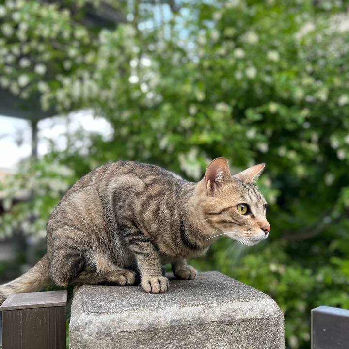 E8828c3b 3e80 4b75 b664 174c2d77039b 1685110531143