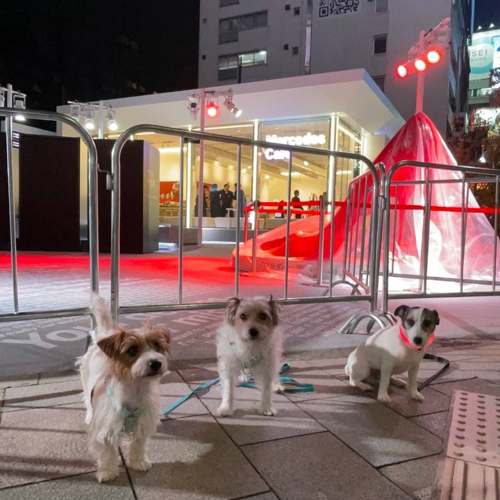 E882c46a 6b26 4740 a33b aad90c11aad2 1777075264827