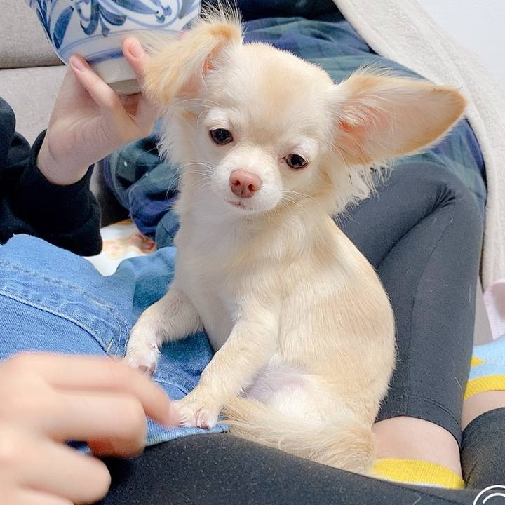 E882d0e9 728d 4063 a8ee 9c92036d458e 1603177844633