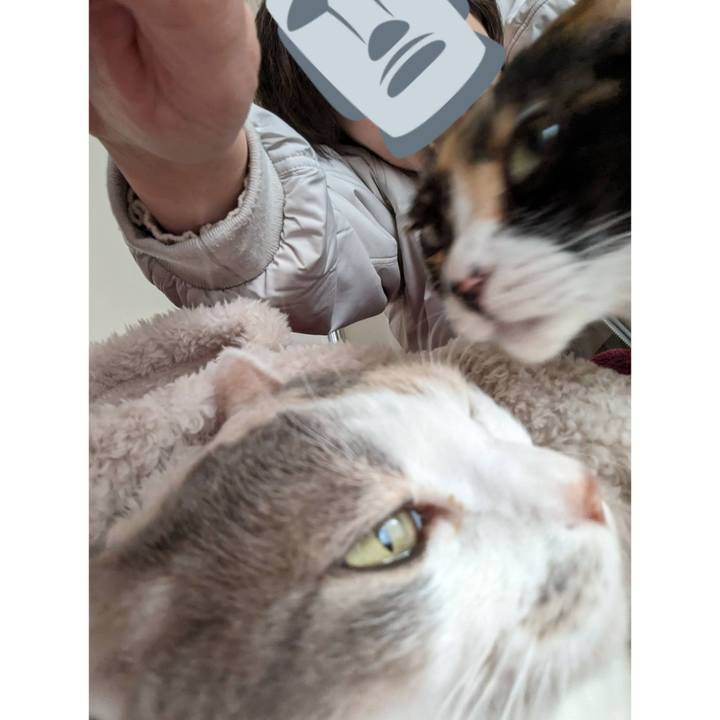 E882f7c5 3425 4a5d bd9b df554fd895ca 1705291722171