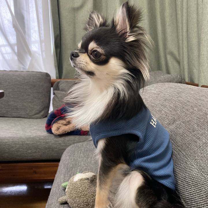 E882f90b d377 4745 8993 a5d538c39aac 1616196777205