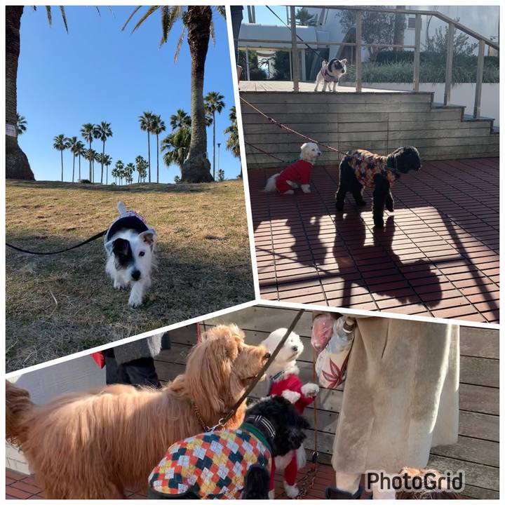 E883344e 99c4 458b b684 0670f7576486 1673141977591